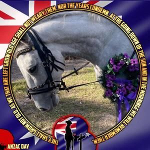 Meet your Posher, Jo